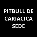 Dj Christyan Cabelinho do Ben Mc Thay Rj - Pitbull de Cariacica Sede Light