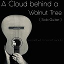 Alireza Tayebi - A Cloud Behind a Walnut Tree Solo Guitar