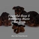 Music for Dogs Collective Pet Care Music Therapy Dog Music… - Ultimate Relaxation