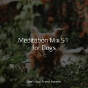 Music for Dogs Collective Pet Care Music Therapy Dog Music… - Ambient Soundscape for Sleep