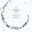 Tribalian - Improloop 12 A Mover Ser