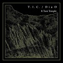 T I C feat Toni Temple - Dia D