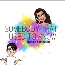 Sparsh Daisy feat Harleen Kaur - Somebody That I Used To Know