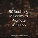 Relaxamento The Relaxation Principle Soothing Music… - Regain Energy