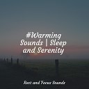 Deep Sleep Music Academy Meditation Stress Relief Therapy Sleep Sound… - Calming Mood