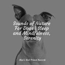 Calming Music for Dogs Music for Dog s Ears - Sleep Time