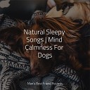 Music for Pets Library Official Pet Care Collection Music For Dogs… - Sleeping Music