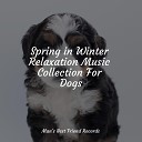 Relaxing Music for Dogs Music for Pets Library Jazz Music for… - Spa Time
