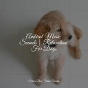 Relaxmydog Official Pet Care Collection Music for Leaving Dogs Home… - Sleeping Music
