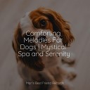 Music for Leaving Dogs Home Alone Pet Care Music Therapy… - Tides of Time