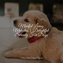 Relaxmydog Calming Music for Dogs Relaxation Music For… - Sleep Well