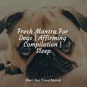 Music for Calming Dogs Music for Pets Library Music for Dog s… - Ambient Sounds