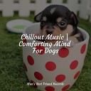 Music For Dogs Music for Dog s Ear Dog Music - Soothing Winds