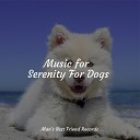 Calm Doggy Music for Dogs Collective Jazz Music Therapy for… - Regain Energy