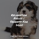 Official Pet Care Collection Relaxmydog Music for Pets… - Soft Rains Will Come