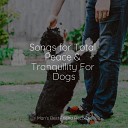 Music for Pets Library Calm Doggy Pet Care Music… - Evening Calm