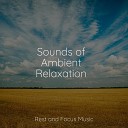 Entspannungsmusik Oase Chakra Meditation Universe Deep Sleep Music… - Melodies of Nature
