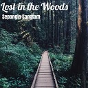 Sepongla Sangtam - Lost in the Woods
