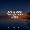 Tranquil Music Sound of Nature Relax Meditation Sleep Exam Study Classical Music… - Daily Stroll