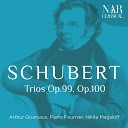 Arthur Grumiaux Pierre Fournier Nikita… - Piano Trio in E Flat Major D 929 II Andante con…
