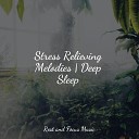 Zen Music Garden Music for Absolute Sleep Ambient Music… - Sustained Tranquility