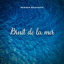 Bruit De La Mer - Musique relaxante Bruit de la mer Pt 12