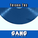 Trigga Tre feat BigLoyal Bang - Gang