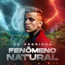 Mc Pedrinho feat MC Hariel - Fen meno Natural