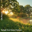 Steve Brassel - Sunlight Forest Natural Ambience Pt 9