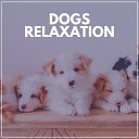 Sleeping Music For Dogs - Calming Music for Stressed Dogs Pt 9