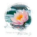Meditazione zen musica - Playlist di rilassamento