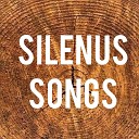 Silenus Songs - Someone Like You Cello Piano Version