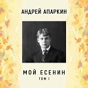 Андрей Апаркин - Дорогая сядем рядом