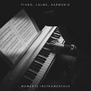 Oasis de piano instrumental - Piano calme harmonie