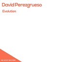 David perezgrueso - Evolution