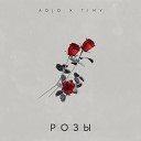 Adjo Timy - Розы