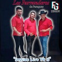 Los Parranderos de Paraguay - Tus Mentiras En Vivo