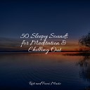 Soothing Chill Out for Insomnia, Relaxing Nature Music, Easy Sleep Music - Harmony Heard