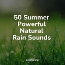 Saludo al Sol Sonido Relajante Deep Sleep Systems Rain Storm Sample… - Woodland Ambience Birds