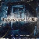 AmRO Weis SchizzoКрыл - Чистокровный Андер