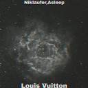 Niklaufer ASLEEP - Louis Vuitton
