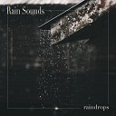 Rain Sounds - Wet Woodland