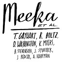 Meeka feat Terry Gayhart - C Sharp Blues feat Terry Gayhart