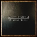 Meet the Storm - Saviours