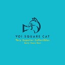 VOI SQUARE CAT - Moving Away