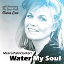 Meera Patricia Kerr feat Yogaville Miracle Choir and… - Divine Love Bonus Track