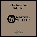 Vibe Injection - Bouncy Love Original Mix