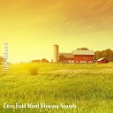 Steve Brassel - Corn Field Wind Blowing Sounds Pt 5