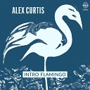 Alex Curtis - Intro Flamingo
