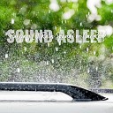 Elijah Wagner - Parking Lot Rain Sounds on Car Roof Pt 19